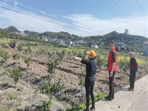 闫家溶社区：探索新型模式 守住耕地底线 融媒聚焦 新湖南