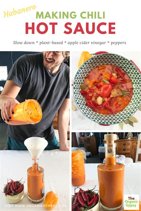 Homemade Chili Hot Sauce Recipe The Organic Gypsy