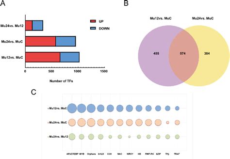 Overview Of The Transcription Factors Differentially Expressed In Cold