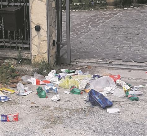 Isernia Cinghiali Il Nuovo Incubo Sale La Paura A San Lazzaro