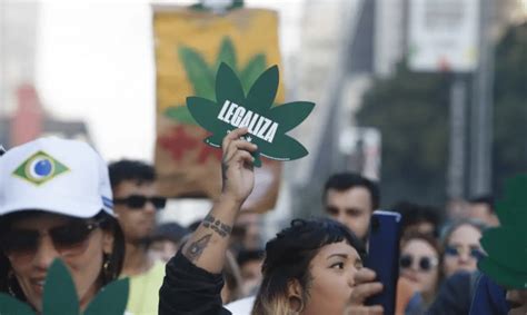 40 g de maconha STF confunde despenalização descriminalização