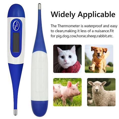 Livestock Rectal Thermometer at Zara Khull blog