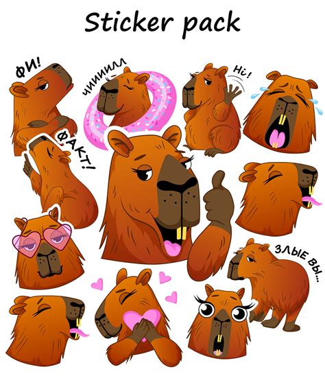 sticker pack capybara  behance
