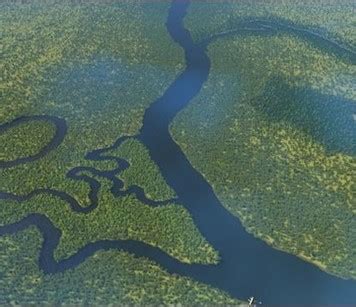 Game-based learning for fluid strategies – OEB Insights