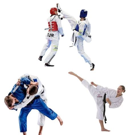 Principales Diferencias Entre Judo Karate Y Taekwondo