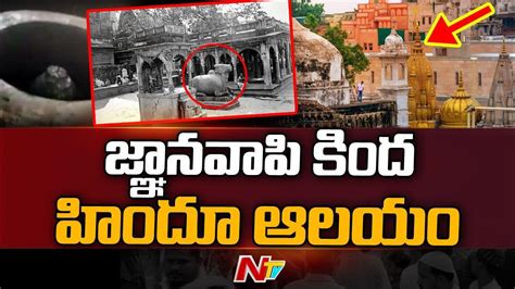 Asi Report Says Large Hindu Temple Existed Before Gyanvapi Mosque Ntv