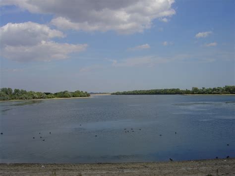 Pictures of Abberton Reservoir