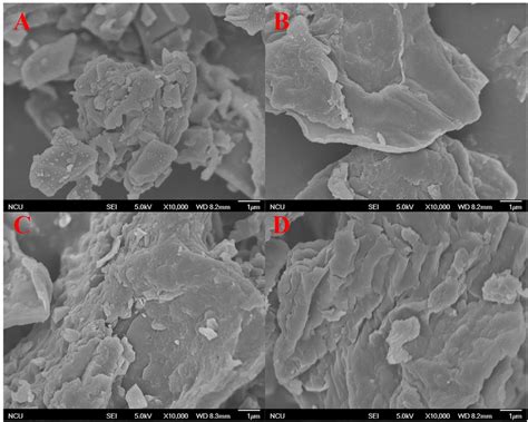 SEM Images Of Biochar Treated Under Different Conditions A