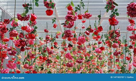 Wedding Ceremony Decoration With Many Artificial Flower Hanging From