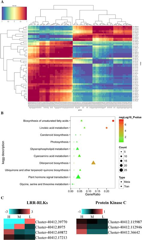 The Heatmap Of Pearsons Pairwise Correlations Kegg Pathways Between