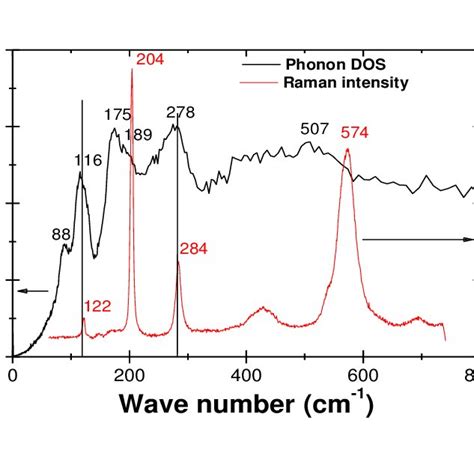 Phonon Density Of States As Determined By Ins Experiments And Raman