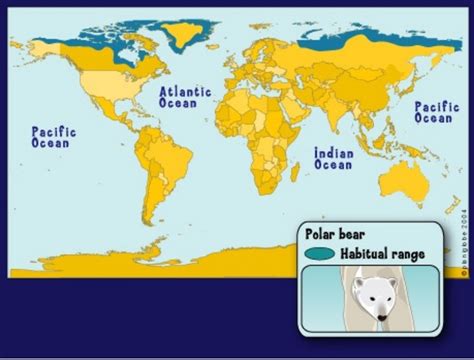 Most Polar Bears Live In Canada, Where There Has Been No Net Warming ...