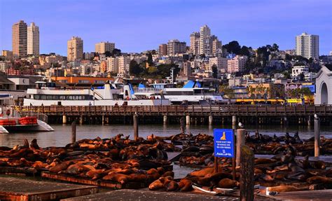 Free Photo San Francisco California Pier Free Image On Pixabay