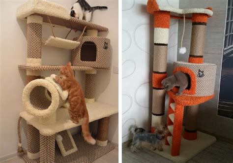 Как самому сделать когтеточку для кошки домиком
