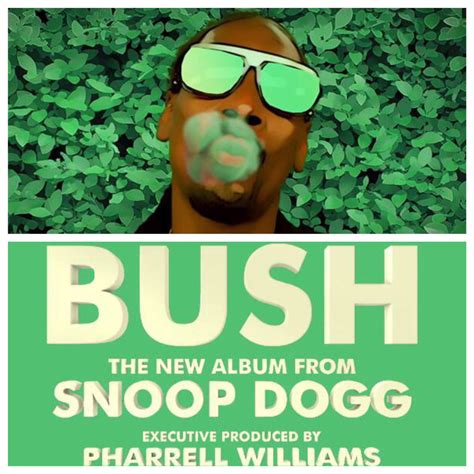 Album Hits 4 U Snoop Dogg Bush Album