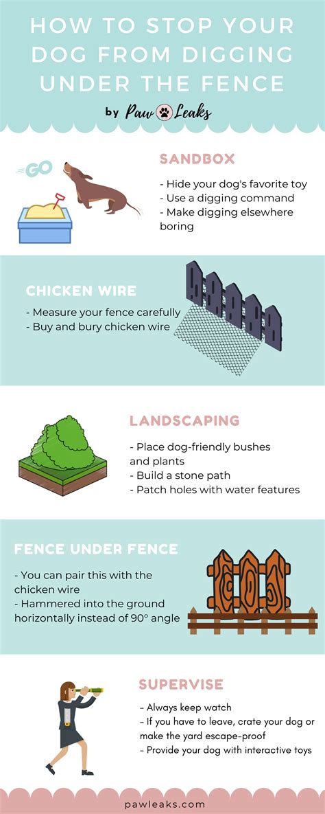 5 Solutions to Stop Your Dog from Digging Under the Fence | PawLeaks