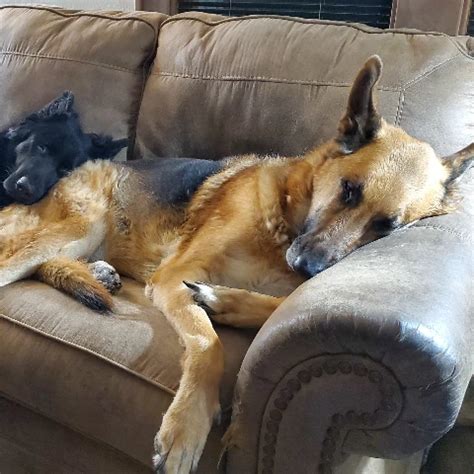 Japanese Massage Treatment Ends With Sex Asian Porn XHamster