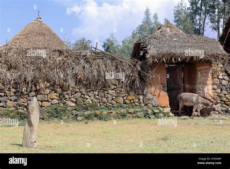 Donkey At The Gate Stone And Scrub Walls And Thatched Roofs Of Huts In