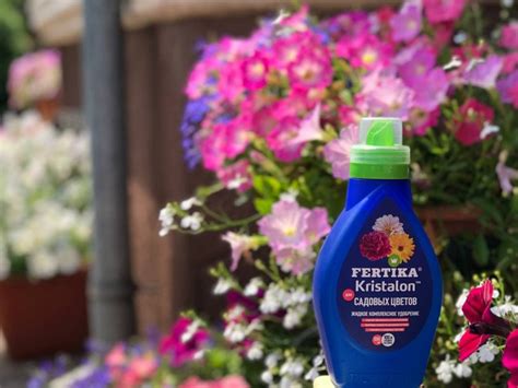 Правильная подкормка петунии. - АО «Фертика»