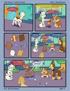 Paw Patrol Gay Ship T Ng Ng V T H Nh X M Ng A Phim Ho T H Nh