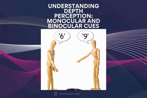 Understanding Depth Perception Monocular And Binocular Cues