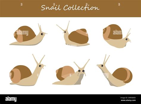 Snails Vector Illustration Set Cute Snails Isolated On White