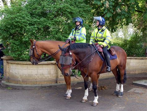 Британская женская конная полиция // ОПТИМИСТ