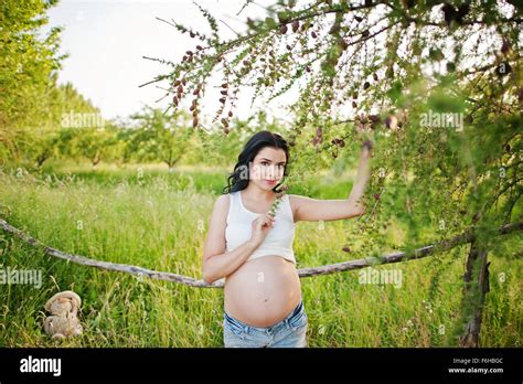 Pregnant Gorgeous Brunette Woman Stock Photo Alamy