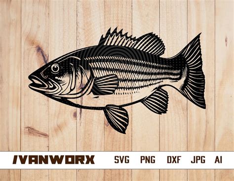 Bass Fish Svg Fishing Png Bass Fish Dxf Bass Fish Etsy