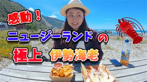 海外生活感動ニュージーランドの極上伊勢海老アワビ取りニュージーランド Taking Paua in Kaikoura the