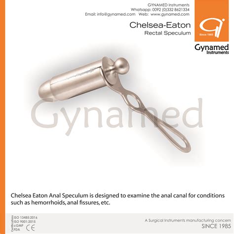 GynaMed Chelsea Eaton Anal Speculum Gynamed