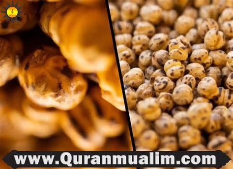 Are Flamin Hot Cheetos Halal Or Haram Quran Mualim