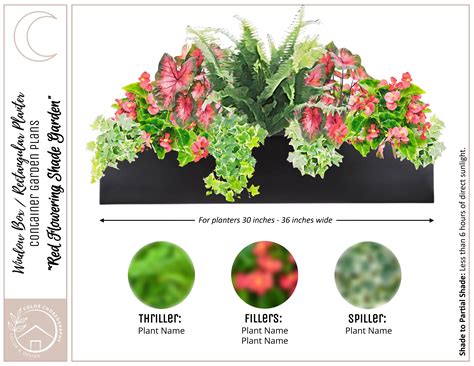 380 PLANT COMBINATIONS | Planting Guides and plant combinations ideas
