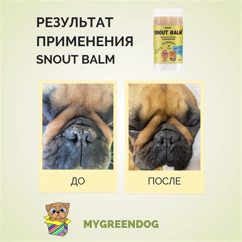 Бальзам для носа собак Snout Balm СТИК 75 мл - Косметика по уходу за ...