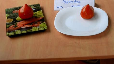 Сорт томата "Буденовка" - описание, помидоры на срезе - YouTube