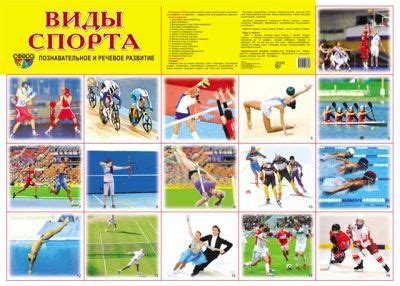 Плакат Виды спорта - купить по низкой цене с доставкой по Кемерово и ...