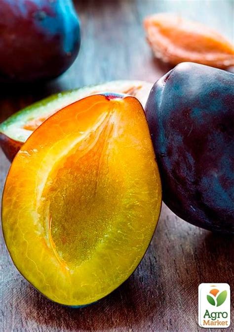 Слива "Блек Б'юті": купити поштою в Одесі, Києві, Україні | Agro-Market