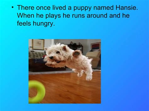The Hungry Puppy Ppt