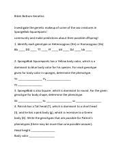 Bikini Bottom Genetics Pdf Bikini Bottom Genetics Investigate The Genetic Makeup Of Some Of