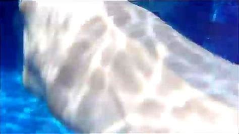 Watch 杉原杏璃 Japan グラビア Big Tits Porn SpankBang