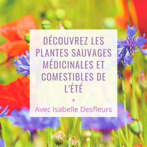 Paris Sortie Plantes Sauvages Comestibles Et M Dicinales D T Tela