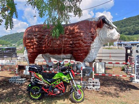 へなちょこ探検隊さんの投稿した愛車情報 Tornado Naked T TNT 昨日に引き続き本日も朝ツーリングですが