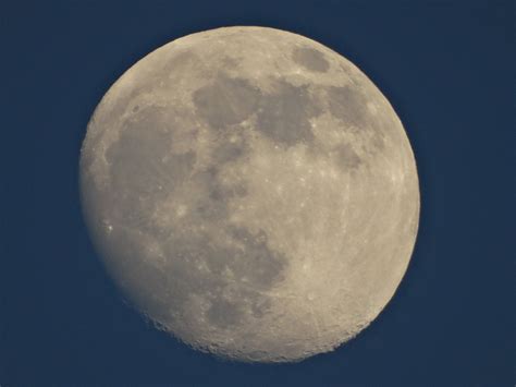 Moon Darling Sky - Free photo on Pixabay - Pixabay