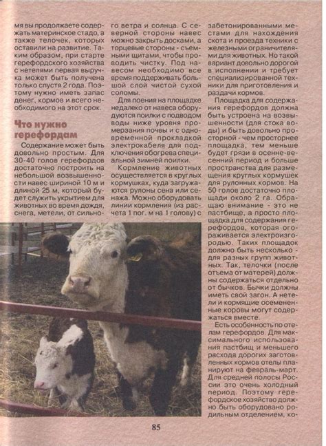 Приусадебное хозяйство №3 март 2024 газета читать онлайн бесплатно