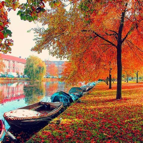 Amsterdam. Colors of nature #amsterdam #netherlands | Landscape photos, Cool landscapes ...