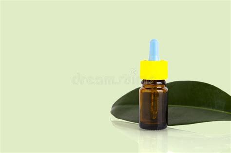 Blank Amber Glass Essential Oil Bottle With Pipette On Green Leaves