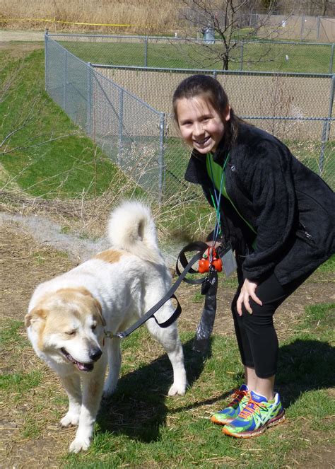 The first time I started working in the dog industry | by Kelseymazzei
