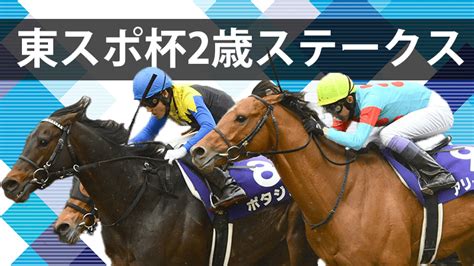 【東スポ杯2歳ステークス2023予想】注目馬3頭過去の傾向から導くデータ解析 ウマダネ