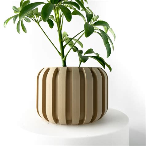 A Potted Plant Sitting On Top Of A White Table