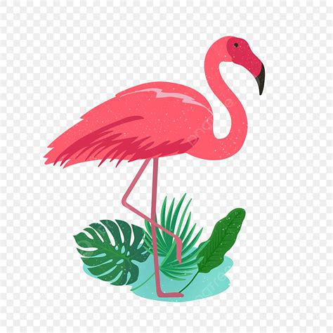 Pink Flamingos Clipart Vector Flamingo Pink Hand Painted Cartoon